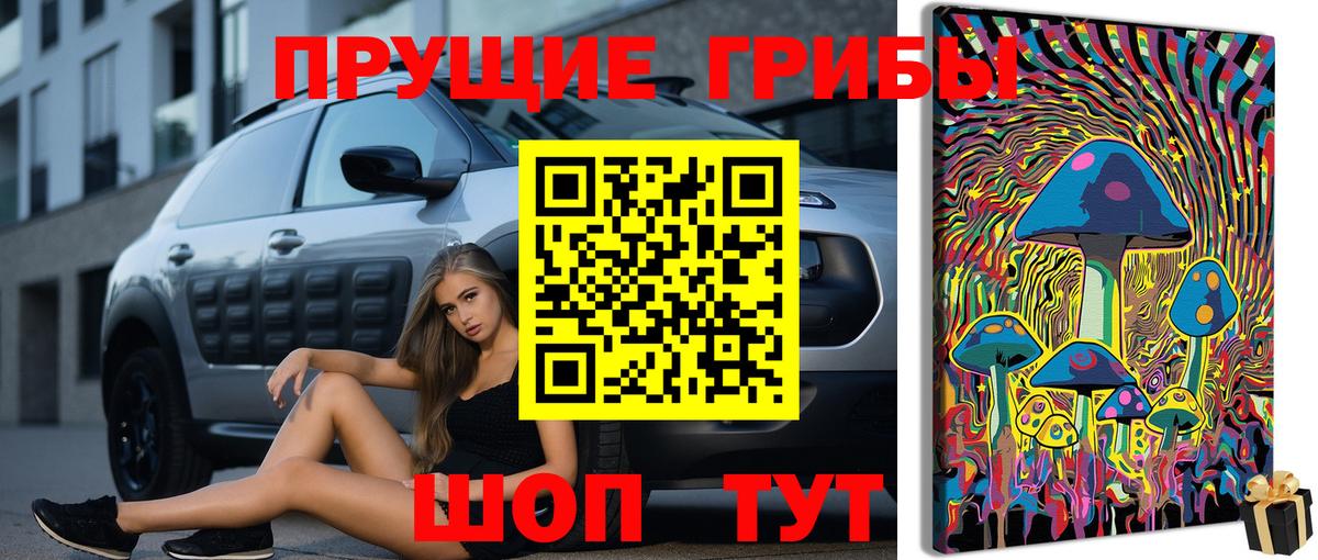 Кузнецк  Псилоцибиновые грибы MAGIC MUSHROOMS  Вход с VPN  Псилоцибиновые грибы Psilocybe 